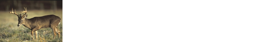 Feed Whitetail Deer.com